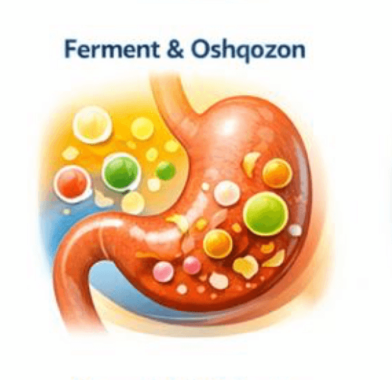 Ferment va Oshqozon