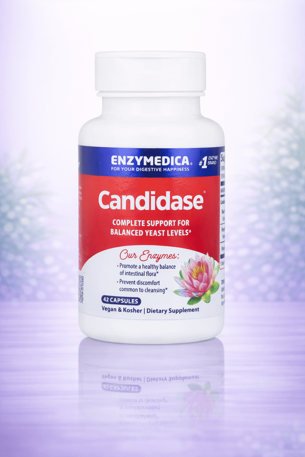 Enzymedica, Candidase, 42 Capsules