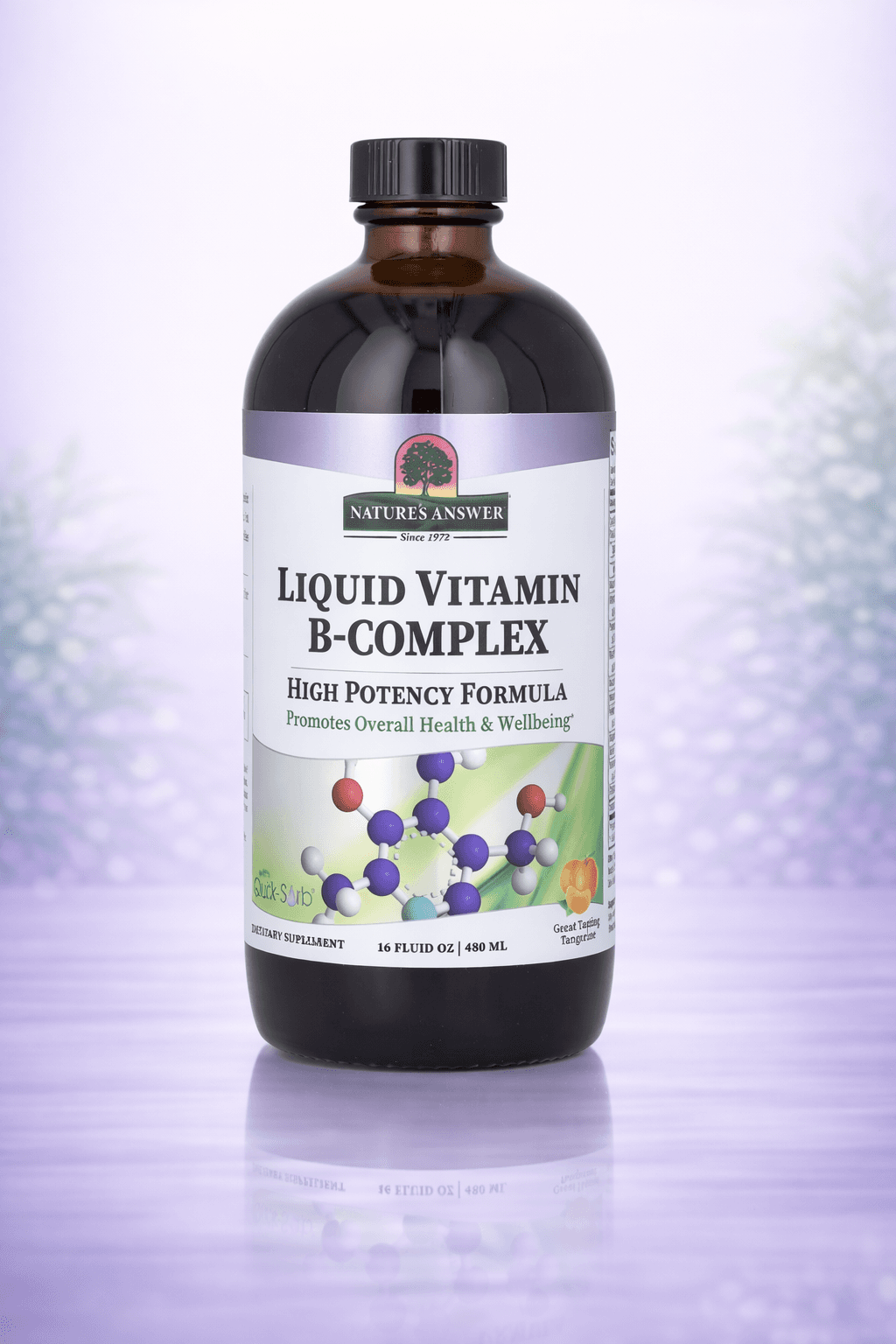 Nature's Answer, Liquid Vitamin B-Complex, Great Tasting Tangerine, 16 fl oz (480 ml)