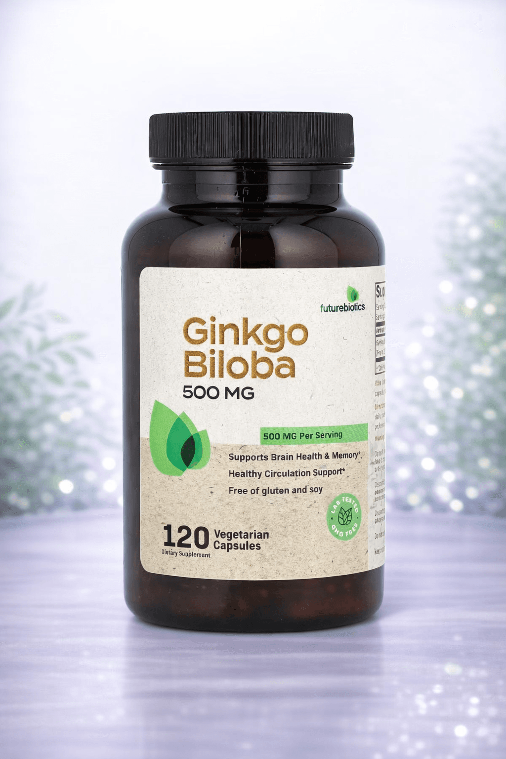 Futurebiotics, Ginkgo Biloba, 120 Vegetarian Capsules– Xotira va qon aylanishi